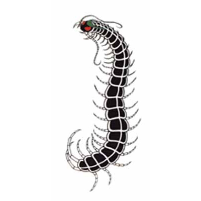 タトゥーシール　大ムカデ