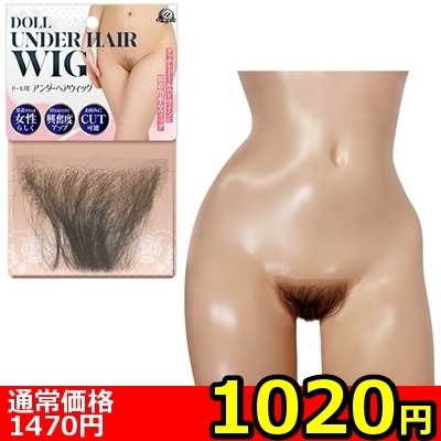 yPOQO~ʌzh[pA_[wAEBbOllP_聄