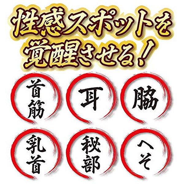 電動はけ狂い　（シャンパンゴールド）