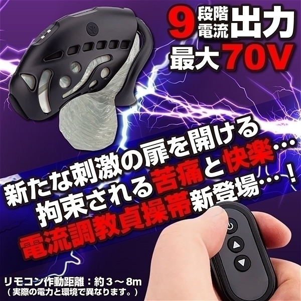 ＰＲＥＭＩＵＭ　Ｅ－ＳＴＩＭ　ＣＨＡＳＴＩＴＹ　ＣＡＧＥ（プレミアムイースティムチェステティケージ）