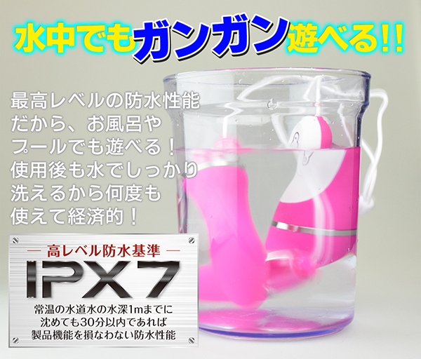 ＬＥＶＩＡ　Ｄｕａｌ（リヴァイア　デュアル）　ピンク