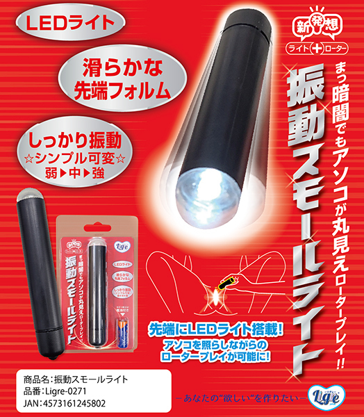 振動スモールライト