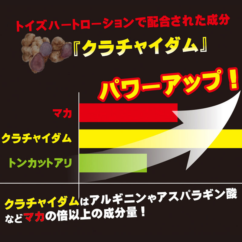 【３４０円★数量限定】トイズハートローション　ハード　３００ｍＬ＜お一人様１点限り＞