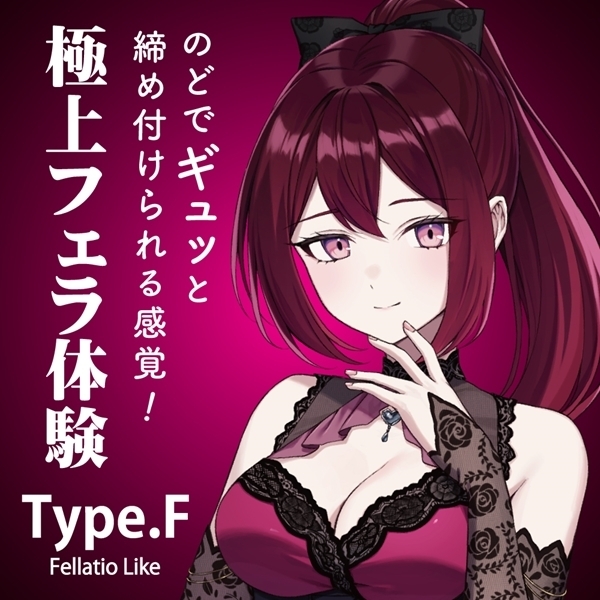 ＳＩ－Ｘ　Ｔｙｐｅ．Ｆ　（２０２４年特別パッケージ）