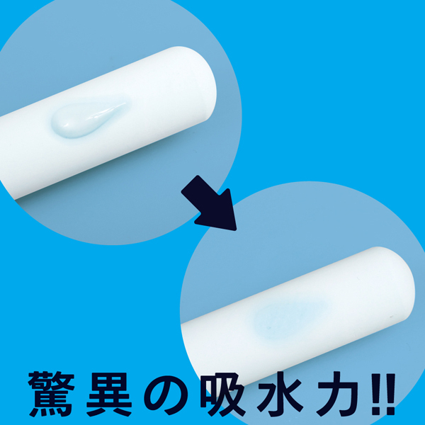 Ｇ　ＰＲＯＪＥＣＴ　ＨＯＬＥ　ＱＵＩＣＫ　ＤＲＹ　珪藻土ＳＴＩＣＫ
